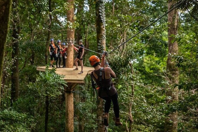 Ziplining Cape Tribulation with Treetops Adventures - Pricing and Value