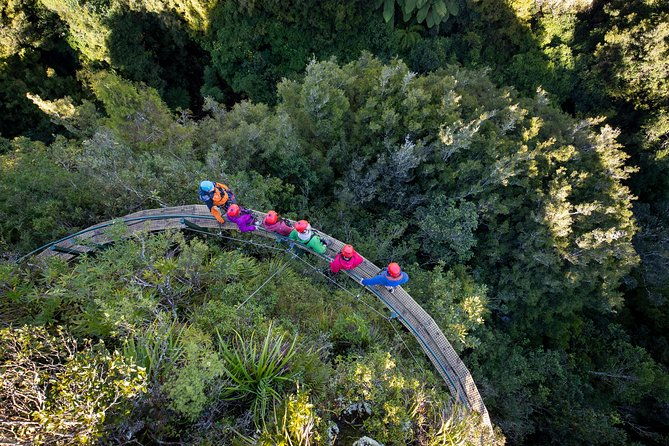 Ziplining Forest Experience - The Ultimate Canopy Tour Rotorua - The Experience From Reviews: Authentic Insights