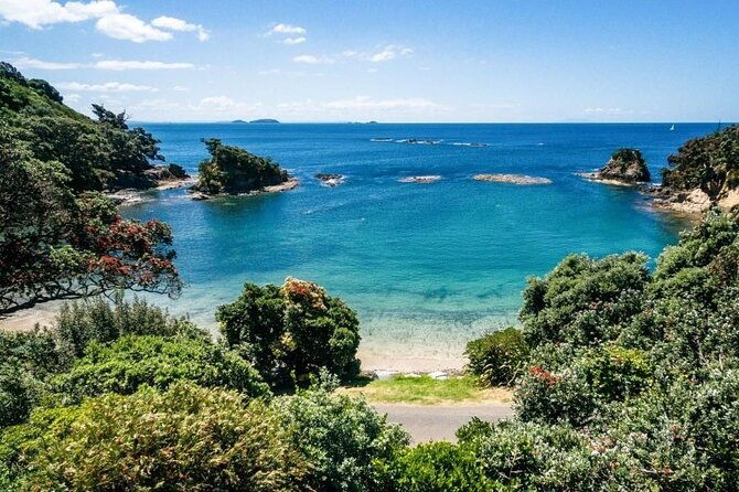 4.5-Hour Scenic Wine Tour with Private Guide & Up to 12 Tastings - Exploring Waiheke Island’s Wine Scene: An Honest Look at the 4.5-Hour Scenic Wine Tour