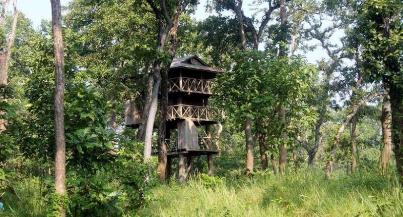 4-days-chitwan-jungle-tour-with-1-night-jungle-tower-stay