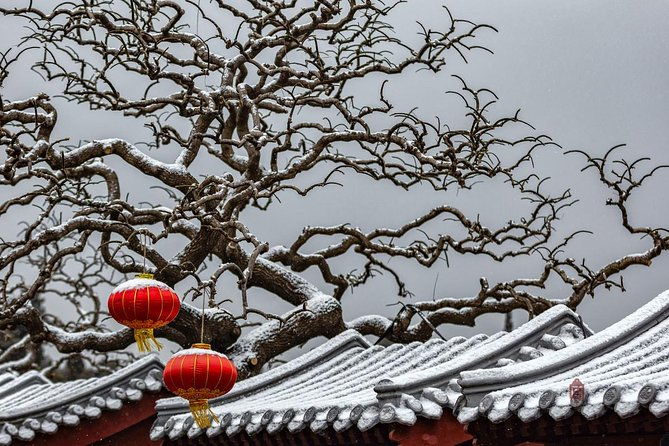 4-Hour Private Forbidden City Walking Tour with Bird's ViewOption - An In-Depth Look at the Tour Itinerary
