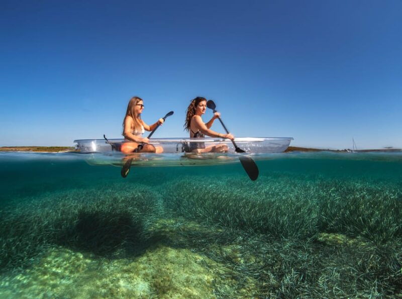 1-5-hour-clear-kayak-rentals-explore-the-underwater-world