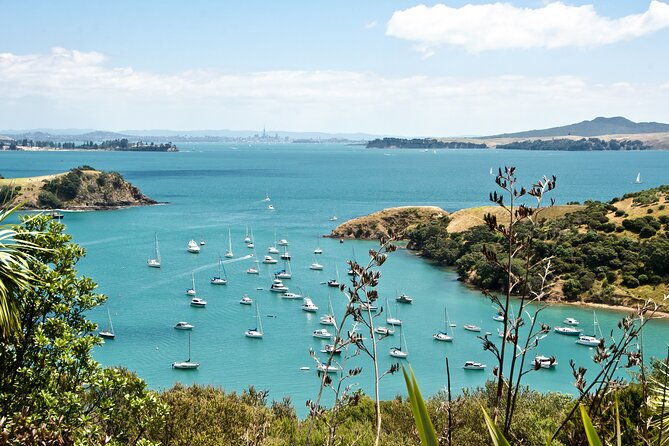 1.5h Waiheke Guided Scenic Tour in our Electric Van - Practical Details & Tips
