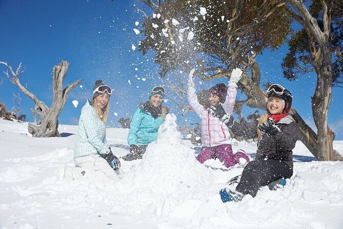 1 Day Thredbo Snow Tour From Sydney - Who Would Love This Tour?