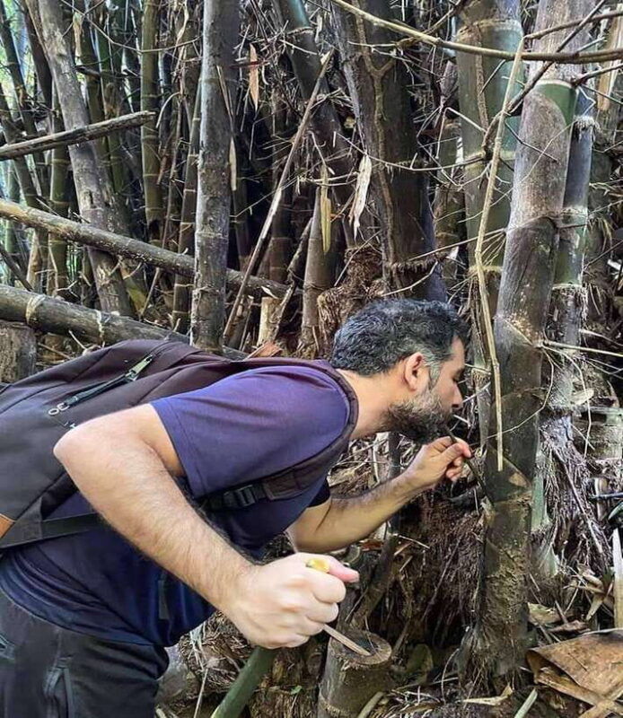 1-day-trekking-in-chiang-rai-forest-walk-only