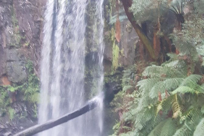 2 Day Great Ocean Road Tour and Platypus paddle - FAQ