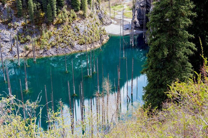 2-Day Private Tour - The Kolsai Lake & Kaindy (Sunken forest) via Charyn canyon - FAQ  