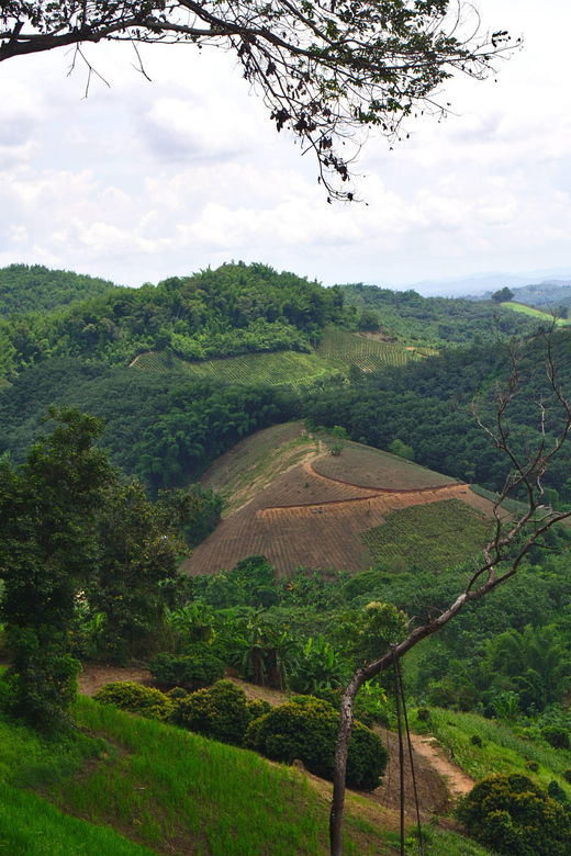 2-days-1-night-private-eco-trekking-akha-lahu-chiang-rai