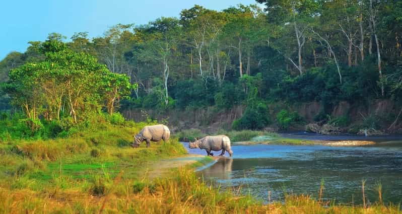2-days-chitwan-jungle-safari-tour-from-pokhara-kathmandu