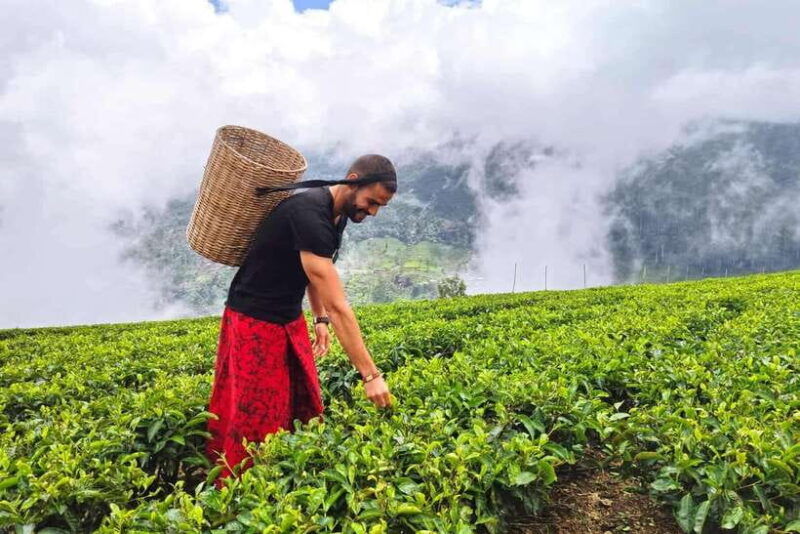 2-days-sri-lanka-all-inclusive-tour-to-ella-and-yala-with-4-star-hotel