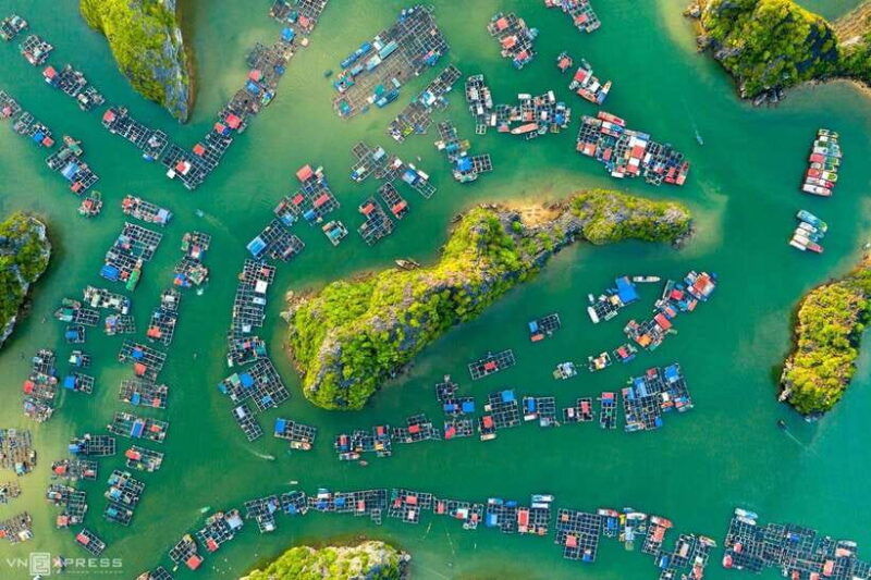 2-hour-private-canoe-discover-the-best-of-ha-long-bay