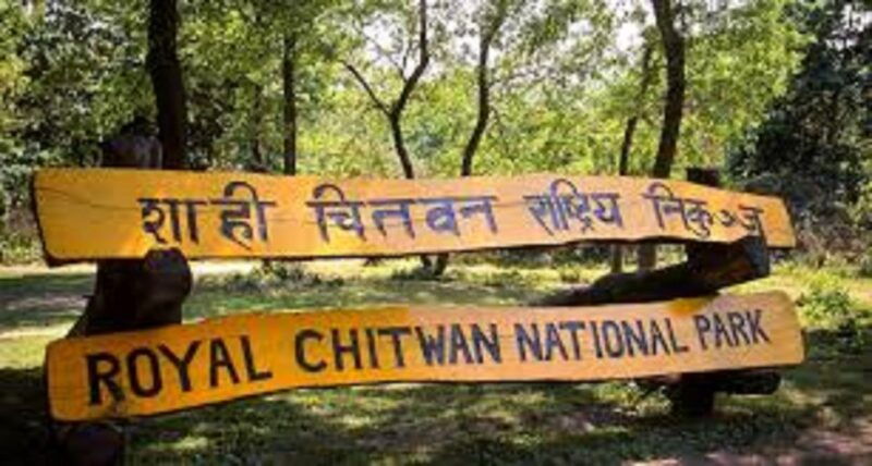 2-n-3-days-chitwan-tour-package-from-pokhara-or-kathmandu