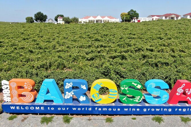 2h Wine Experience, Vineyard walk, 6 wines, charcuterie board - Practical Tips for Visitors