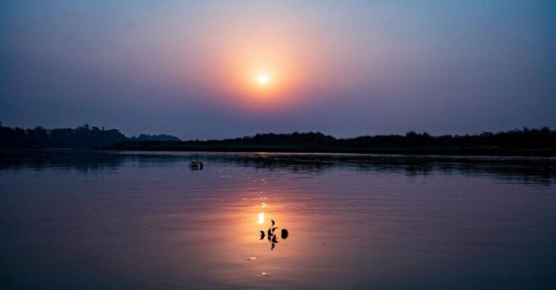 3-day-chitwan-jungle-safari-adventure-from-kathmandu-pokhara