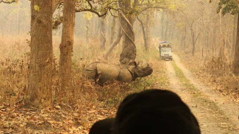 3-days-chitwan-safari