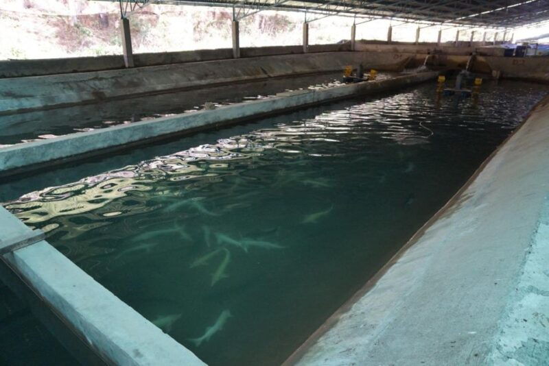 3-hours-trekking-tour-to-hidden-waterfall-and-sturgeon-farm