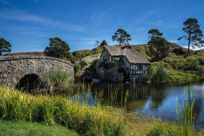 4-Day Auckland to Wellington via Rotorua Tour - Authentic Experiences and Authenticity