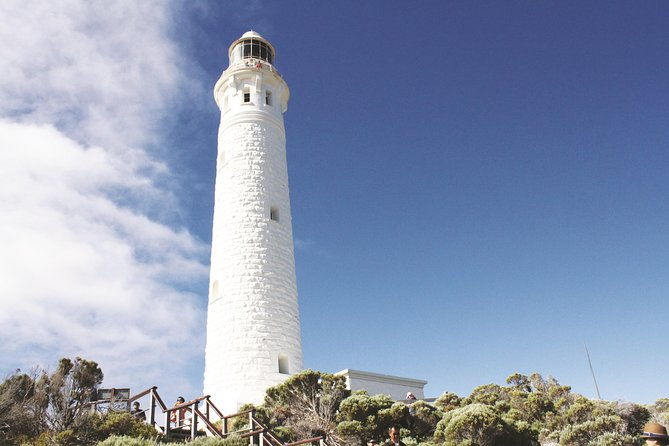 4 Day Tour: Albany, Margaret River, Valley of the Giants TreeTop Walk from Perth - Price & Value: Does It Deliver?