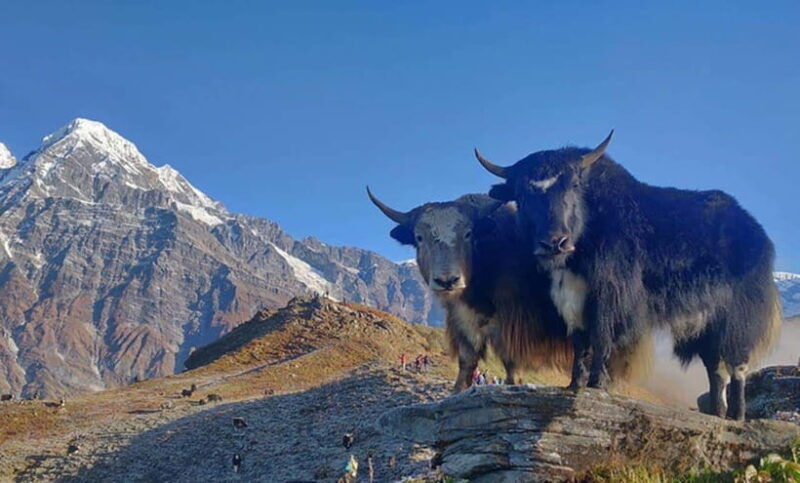4-days-pikey-peak-trek-above-the-cloud