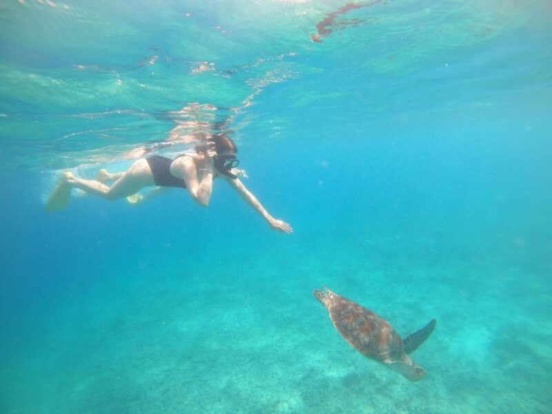 4-hours-snorkeling-3-gilis-trawanganmeno-gili-air