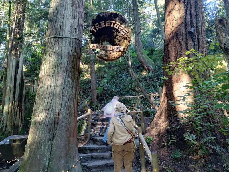 4tourcapilano-suspension-br-car-small-grouplakedamhacher