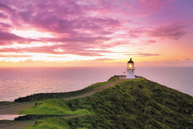 5-Day Bay of Islands Rotorua Waitomo Caves and Hobbiton Tour from Auckland - Day 4: Hobbiton and Night-time Maori Feast