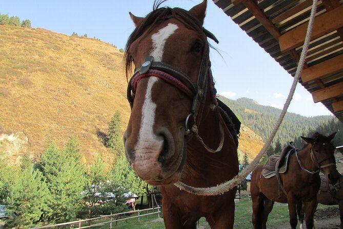 5 days sightseeing and skiing trip in Kyrgyzstan - Authentic Experiences and Practical Tips