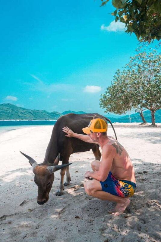 5-secret-gili-boat-trip-snorkeling-in-southwest-of-lombok