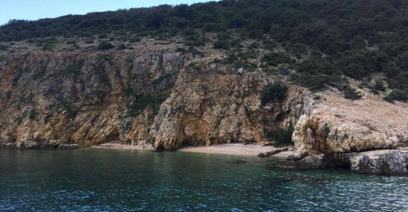 55h-plavnik-island-swim-snorkel-with-capt-bobo-public