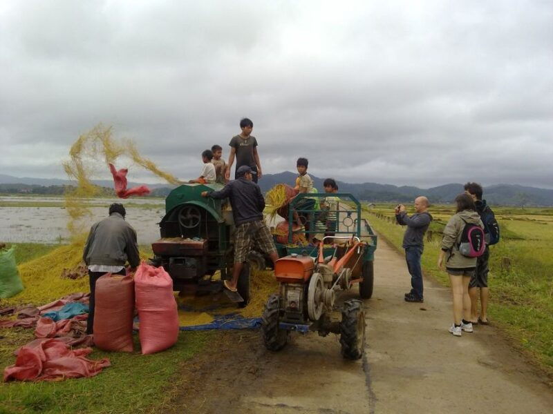 6-day-tour-from-hoi-an-to-da-lat-via-ho-chi-minh-trail
