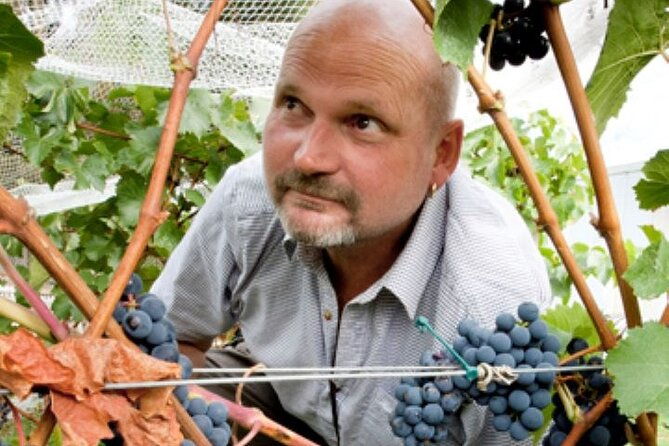 6hr Martinborough Chefs shared wine tour  lunch from Wellington - Final Thoughts