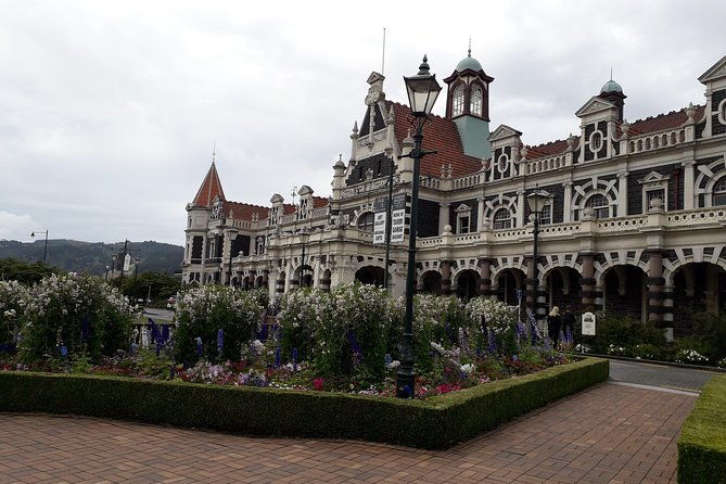 A 2 hour Small Group Dunedin City Highlights Tour - What Reviewers Are Saying