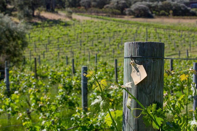 A Taste of Margaret River Seaplane Tour - Why It’s Worth the Investment
