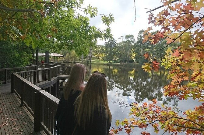 Adelaide Hills, Hahndorf and McLaren Vale Tour - Final Thoughts