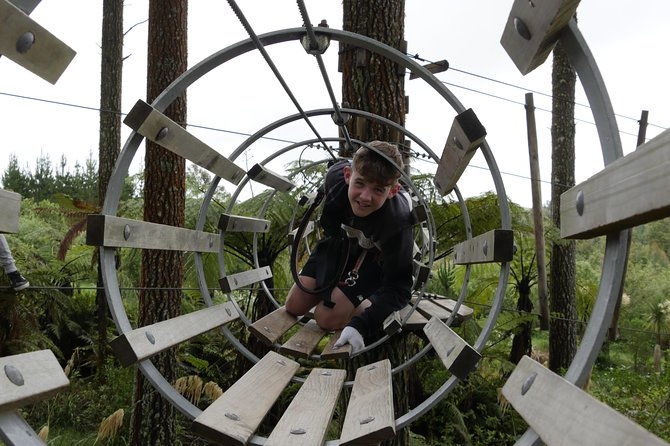 Adrenalin Forest Auckland - The Sum Up