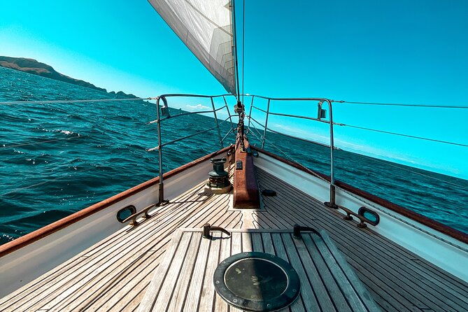 Afternoon Sail - Bay of Islands Vigilant Yacht Charters - Authentic and Unique Experience