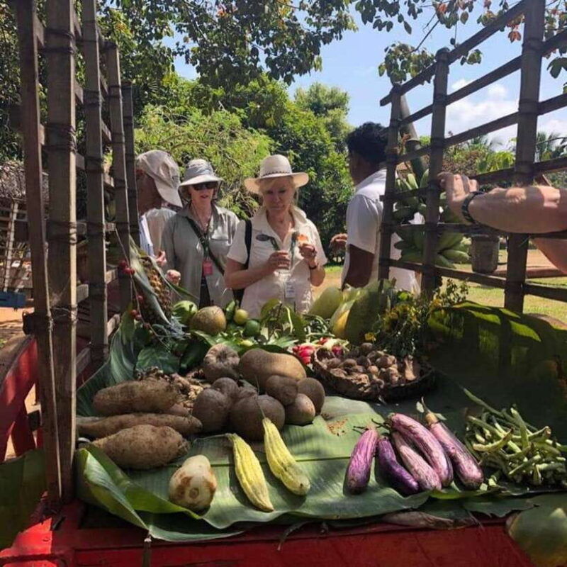 agro-village-guided-walking-tour-and-local-lunch