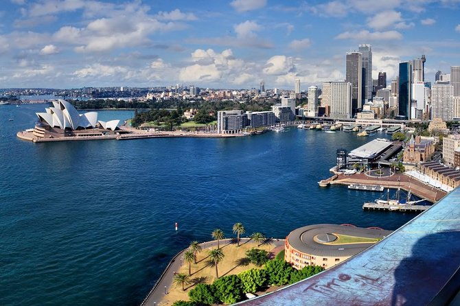 Airport Transfer: Sydney to Sydney Airport SYD by Luxury Van - Who Is This Transfer Best For?