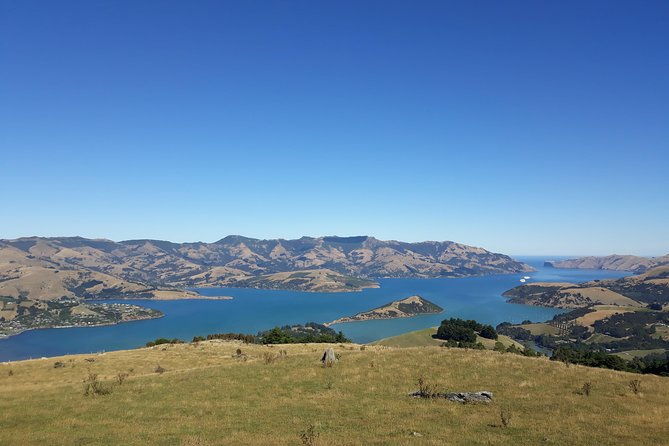 Akaroa Shore Excursion: Banks Peninsula, Christchurch City Tour and Sheep Farm Tour - Final Thoughts