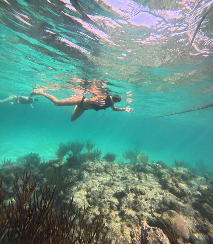akumal-guided-snorkeling-with-sea-turtles