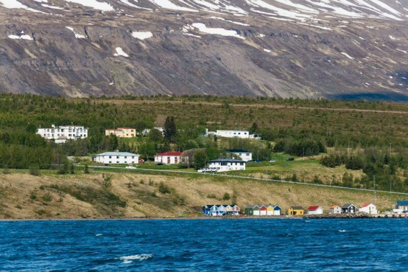 akureyri-3-hour-classic-whale-watching-tour-by-ship