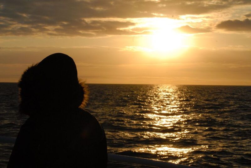 akureyri-whale-watching-in-the-midnight-sun