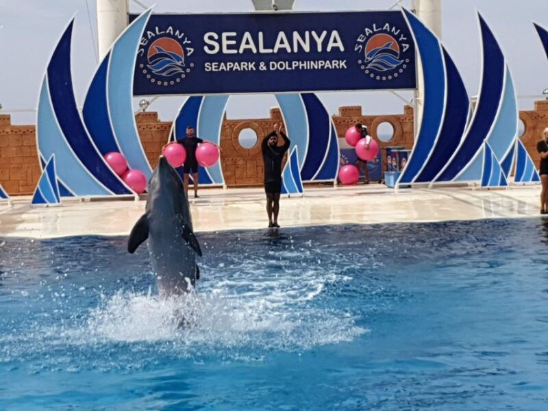 alanya-sealanya-dolphinpark-dolphin-show-tour