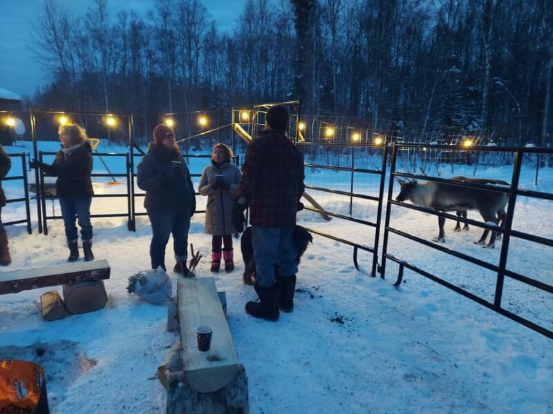 alaskan-fireside-cookout-with-reindeer-2