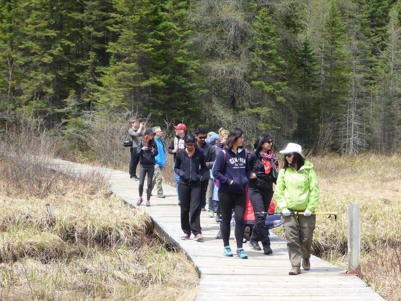 algonquin-park-hiking-adventure-tour-from-toronto