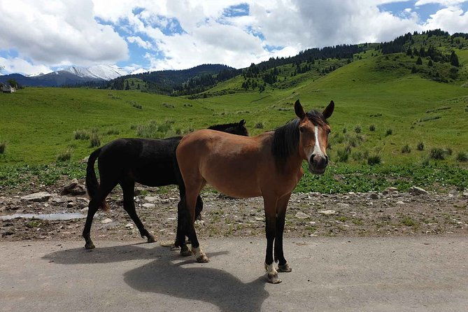 Almaty Region 3 Days Tour from Almaty - Pricing and Value: Considering the Cost