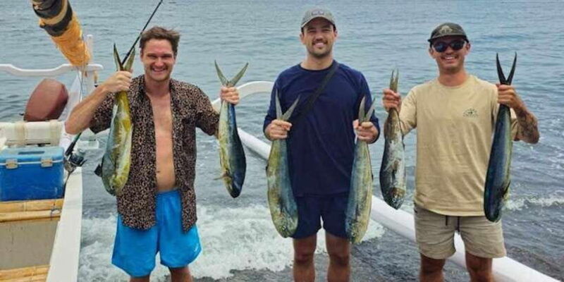 amed-fishing-trip-hook-a-mahi-mahi-tuna-gt-or-wahoo