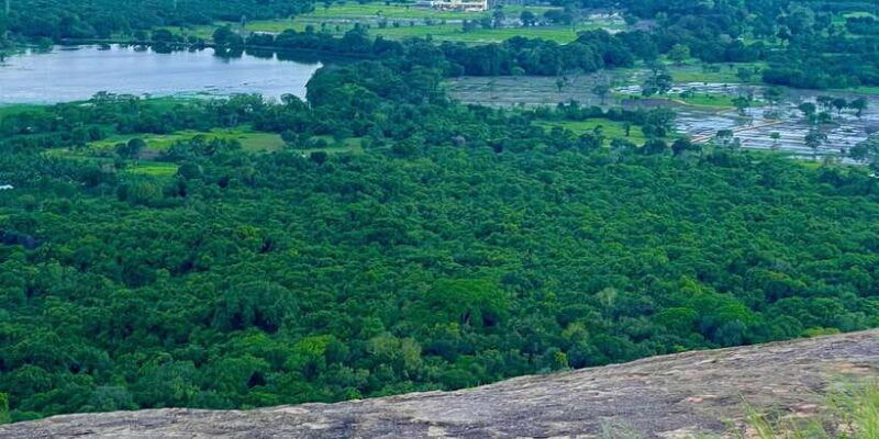 an-ultimate-day-trip-to-sigiriya-rock-fortress