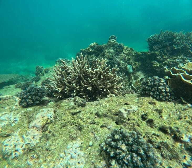 angel-rock-snorkeling-private-trip