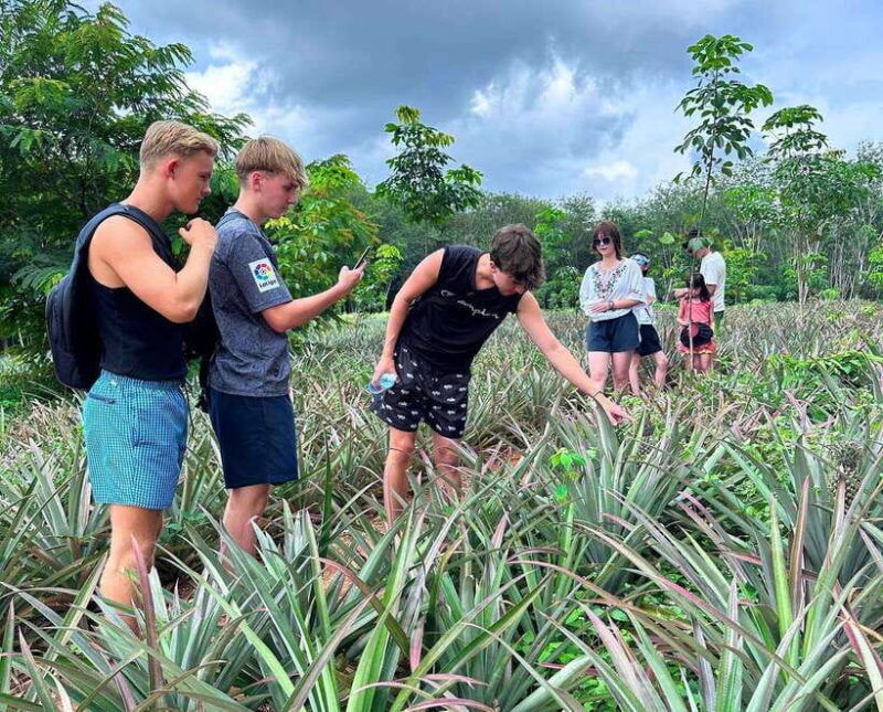 ao-nang-crystal-pool-kayaking-atv-and-pineapple-farm-tour